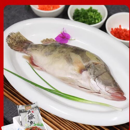 【3条】黄山徽州臭鳜鱼 老徽乡未净膛臭鳜鱼 臭桂鱼 顺丰 - 图0