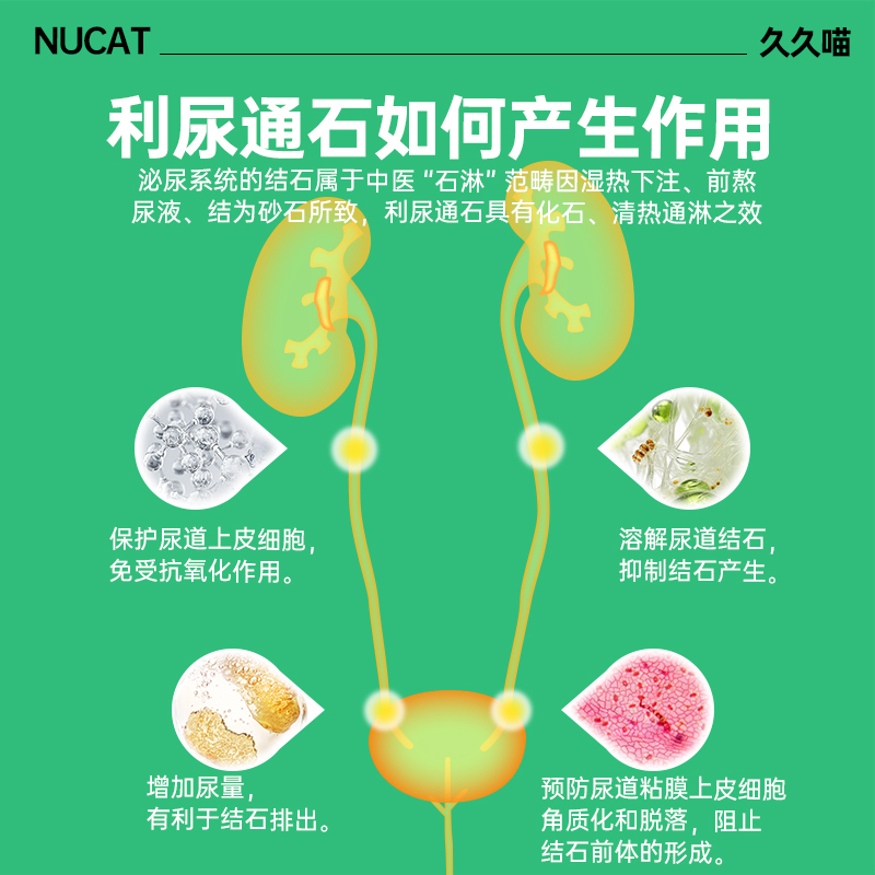 NUCAT利尿通石片猫咪泌尿系统药结石尿路感染泌尿通猫闭尿猫尿血 - 图0