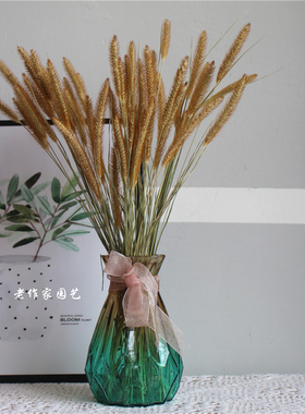 北欧自然凤天然念尾草干花花束套装装饰摆拍道具