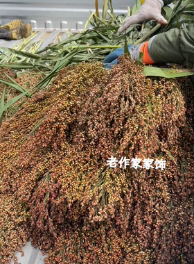 拍摄道具客厅原生态真花高梁