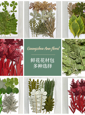 植物绿叶diy幼儿园手工