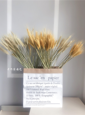 天然小麦穗干花北欧风干燥花ins