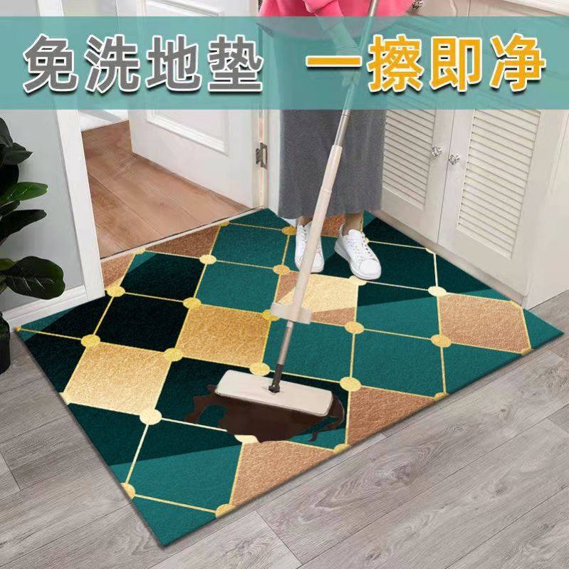 轻奢高端入户门垫进门地垫PVC可裁剪入门可擦洗免洗脚垫门口地毯_虎窝淘