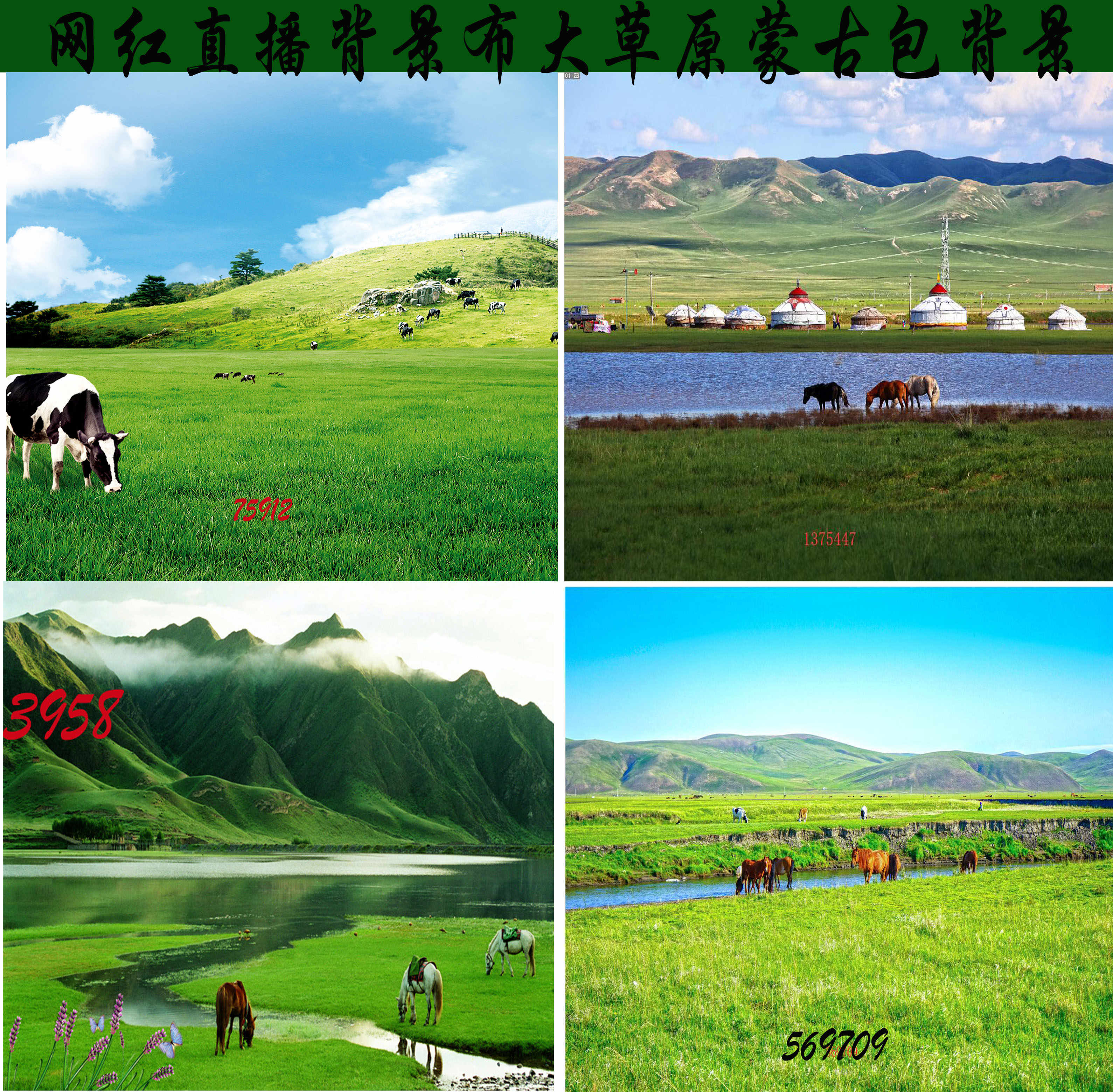 大草原背景布 新人首单立减十元 22年8月 淘宝海外 大草原背景布 新人首单立减十元 22年8月 淘宝海外