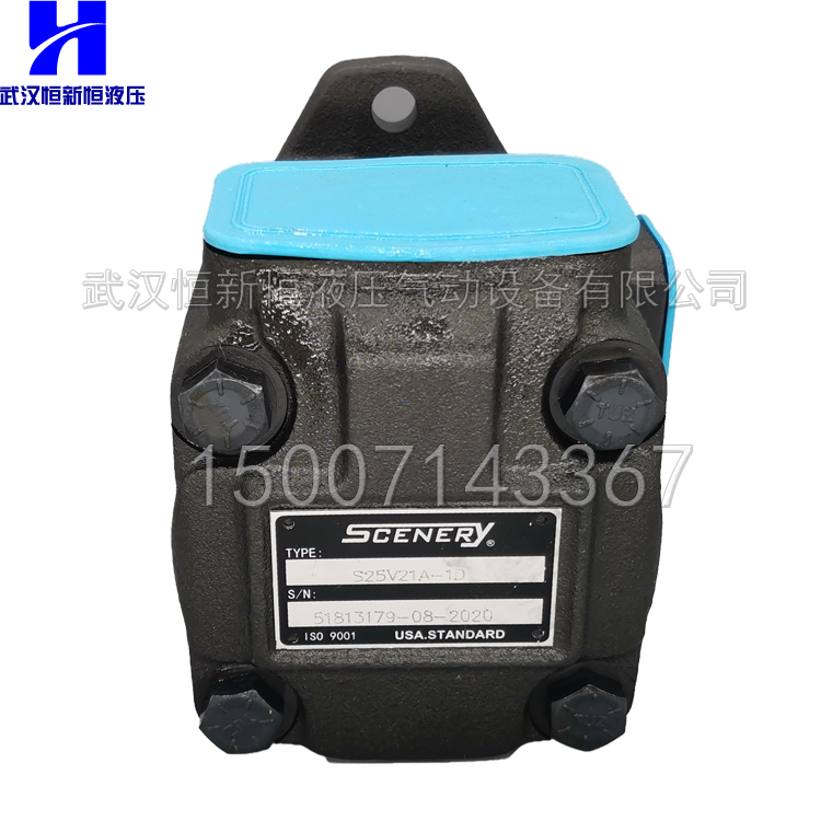 全新SCENERY液压泵S25V21A-1D S20V S35V S45V高压工业子母叶片泵 - 图2