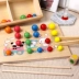 Trẻ em Montessori Ý tưởng học tập sớm Clip bóng Balls Tư duy đào tạo Câu đố Đồ chơi bài tập tay - Đồ chơi giáo dục sớm / robot