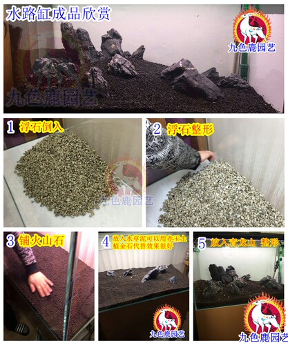 钵底石兰石兰花 轻石浮石 多肉植物盆栽垫底石兰花石土水陆缸草缸 - 图1