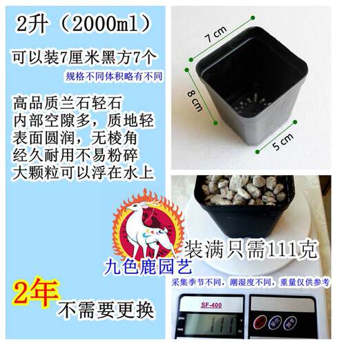 钵底石兰石兰花 轻石浮石 多肉植物盆栽垫底石兰花石土水陆缸草缸 - 图3