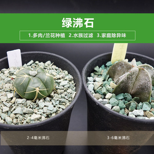 天然绿色沸石多肉配土铺面石拌土防烂根黑腐保肥水族鱼缸造景包邮 - 图1