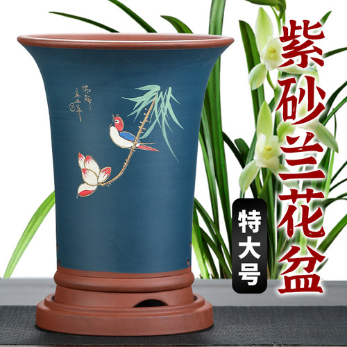 紫砂兰花盆墨兰蕙兰蝴蝶兰君子兰陶瓷特大兰草大花特价高花盆包邮 - 图2