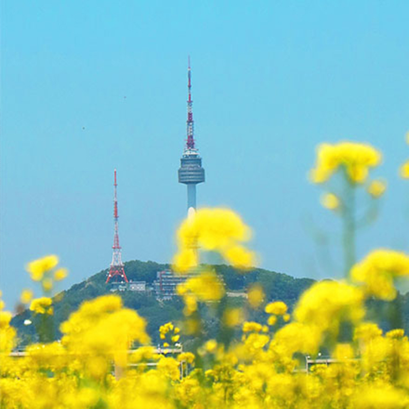 深圳-韩国首尔+釜山庆州6天5晚跟团旅游含机票酒店团队签证 - 图2