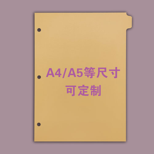 单张彩色分页纸索引页定制记号标书标签分类商务会议活页本文件夹 - 图3