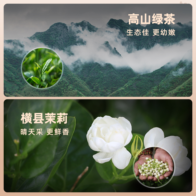 艺福堂茶叶横县原产茉莉花茶浙江高山特级浓香型茉莉绿茶香尖冷泡 - 图1