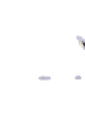 普门庵光明砂快乐无忧