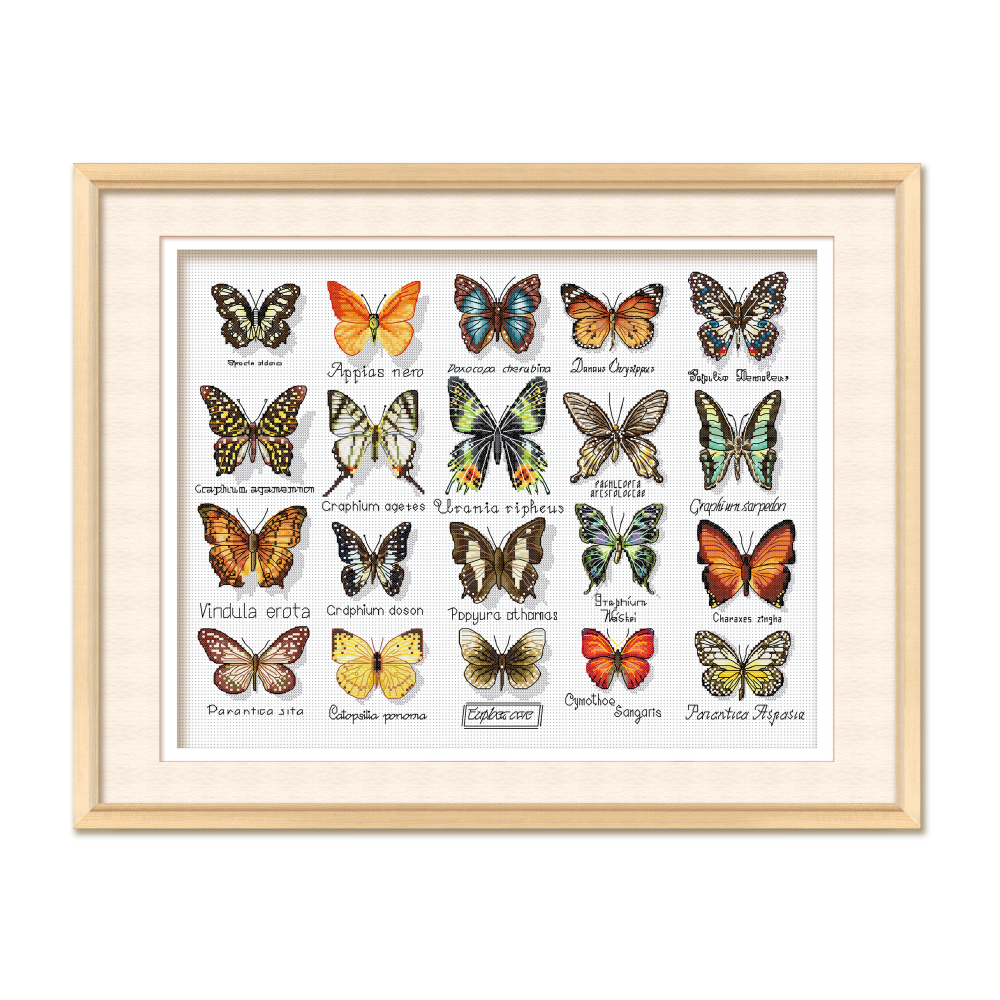 KS十字绣蝴蝶标本非满绣80色勾边手工绣线绣棉线自己绣客厅挂画,淘宝优惠券,粉丝福利购,淘宝优惠卷