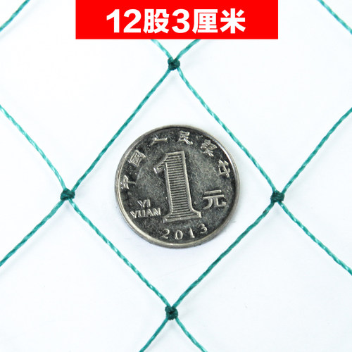 养殖网养鸡网尼龙网拦鸡网围鸡塑胶网护栏网菜园围网防护网 - 图2