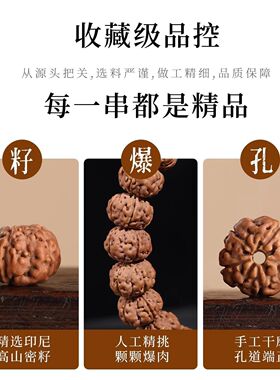 原皮树王小金刚菩提手串本命生肖