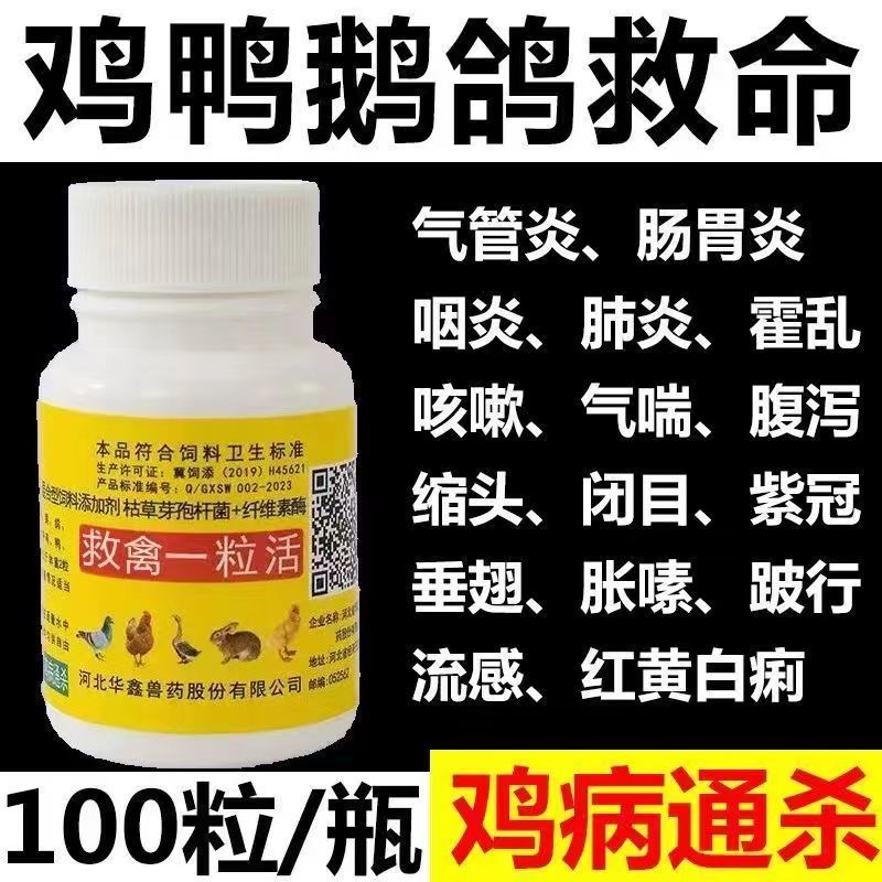 速效鸡用预防备用兽用鸡鸭鹅流感冒咳嗽气喘拉稀黄白一粒活100片-图2