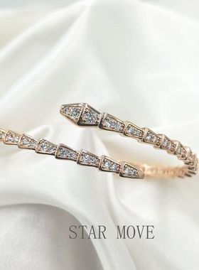 HTZS跨境满天星手镯女时尚简约情人节礼物送女友轻奢蛇骨钉子手镯