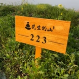 Индивидуальная антикоррозия деревянная овощная садовая штепсель -в карте любовь и трава теплое напоминание Обратите внимание на бренд