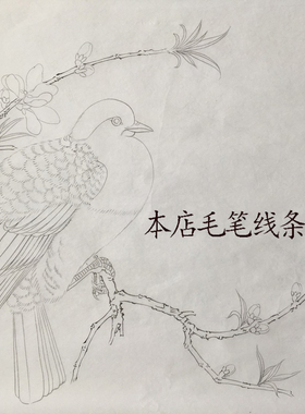 工笔画底稿宋林椿果熟来禽图白描1#打印稿宣纸稿有步骤图+视频