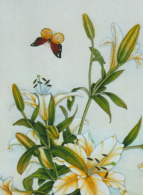 工笔画底稿 花鸟国画百合蝴蝶竖副白描23#打印稿宣纸稿临摹学习