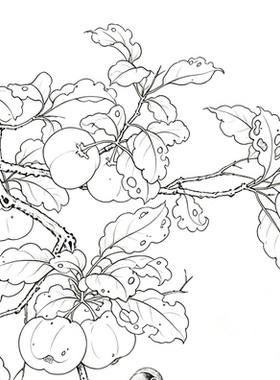 花鸟苹果白描宣纸稿本拷贝工笔画