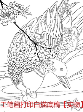工笔画底稿陈之佛花鸟鸭子花卉春江水暖竖幅白描8#打印稿宣纸稿