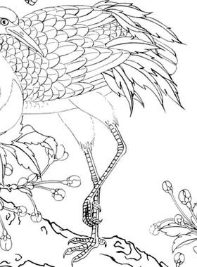 工笔画底稿 仙鹤花鸟条屏竖副白描8#打印稿宣纸稿学习临摹