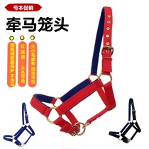 Horse cage head rope holding horse to teach cage head full line plate size dwarf horse dragon head chewy equestrian goods deficit