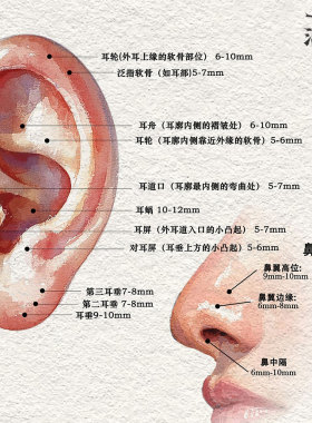 洞见内螺纹耳钉底座唇钉替换杆