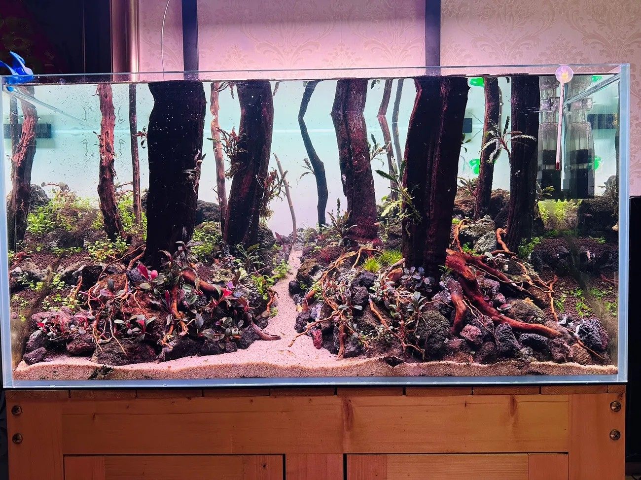 黑色火山石鱼缸铺底火山岩造景水族过滤净化火山假山硬度高包邮,淘宝优惠券,粉丝福利购,淘宝优惠卷