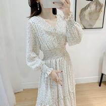 Famous Hime Broken Flowers Skirt Snowspun Ocean Dress Woman Long Sleeve Spring Dress 2022 New Closedown Display Slim Temperament Fairy Skirt Long Skirt