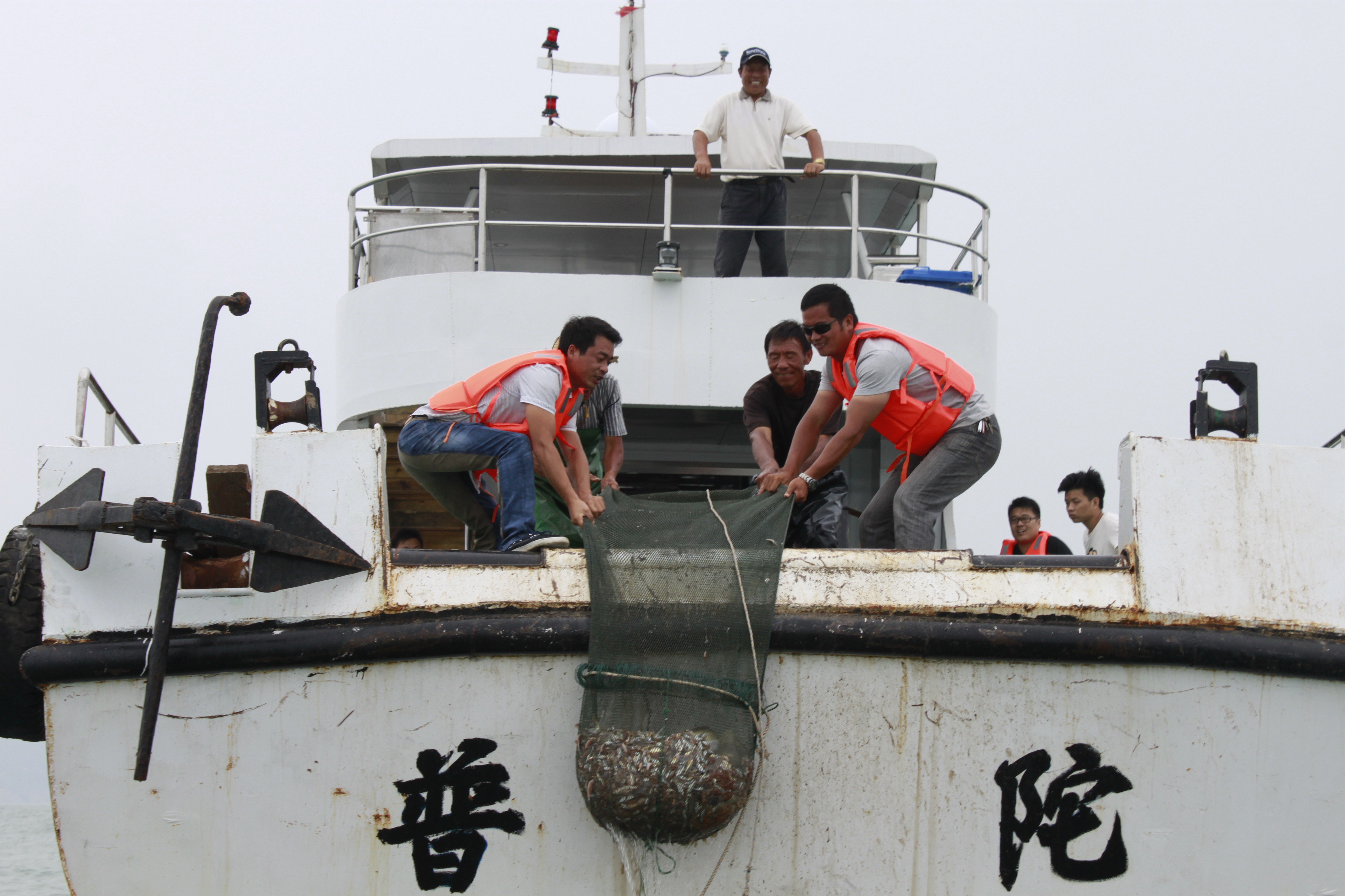 舟山朱家尖 白沙岛农家乐 豪华游艇 包渔船出海捕鱼 海钓/拖网 - 图1