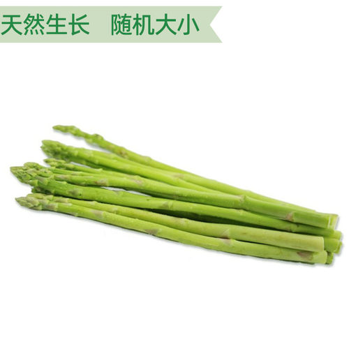 青芦笋新鲜采摘去白根农家菜当季蔬菜龙须菜西餐厅轻食烧烤沙拉菜 - 图1