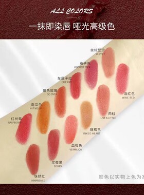 化妆师专用口红盘雾面丝绒唇膏盘