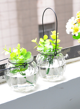 植物花瓶室内家居装饰瓶小清新