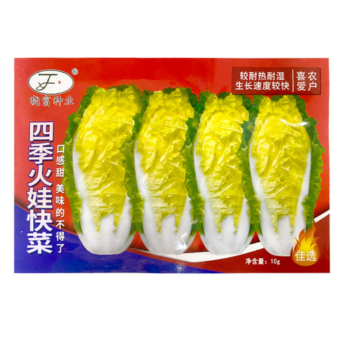 四季火娃快菜种子 耐热耐湿夏秋小白菜抗热速生快菜蔬菜种子籽孑 - 图2