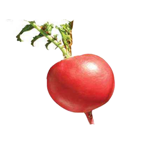 Семена большой морковки, большая красная халата, семена овощей, семена радио