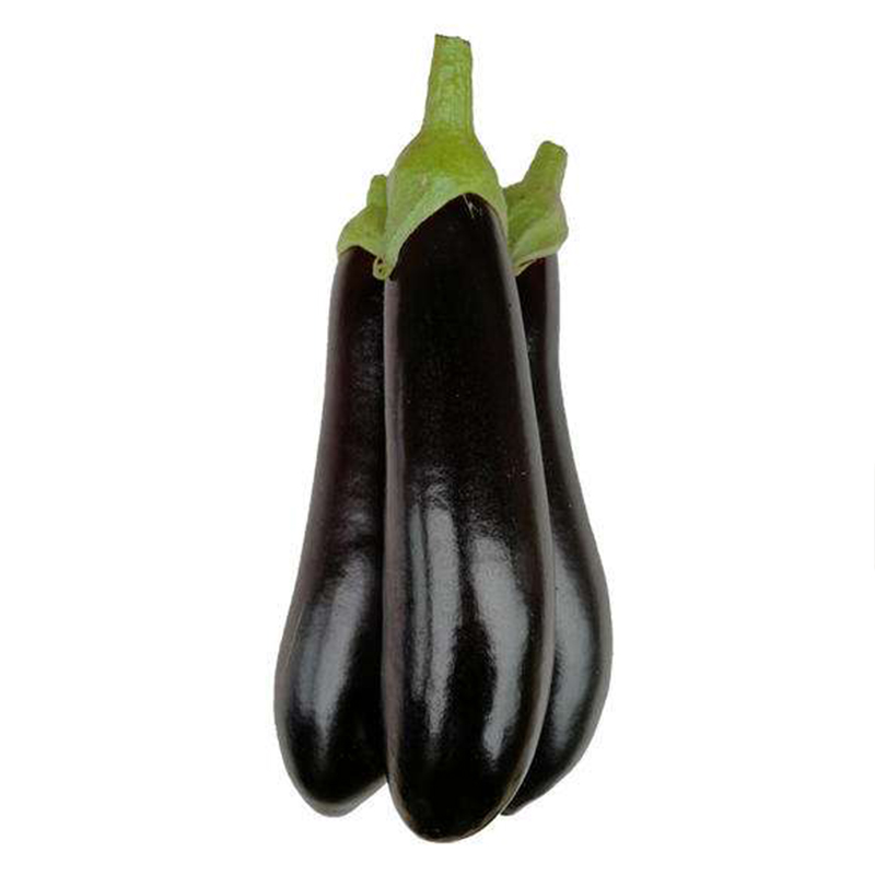 【紫墨长茄种子】黑贵人茄子瓜果蔬菜种子四季播种盆栽紫墨长茄籽-图3