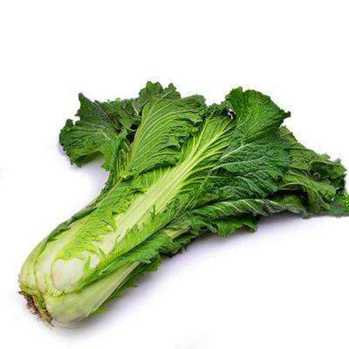 传统老品种快菜北京小杂56黄心花大白菜种子小型快菜耐热耐湿抗病 - 图3