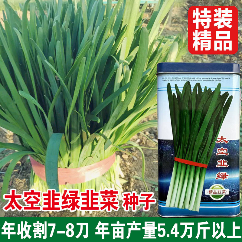 太空韭绿韭菜种子籽白根宽叶抗病高产耐热寒大田基地种植蔬菜,淘宝优惠券,粉丝福利购,淘宝优惠卷