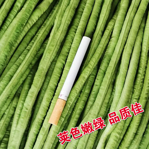 蔬菜种子 特长豆角种子金鼎泰丰一号 豇豆籽 菜农种植 抗病高产 - 图1