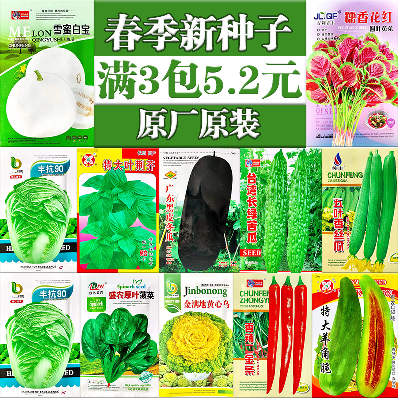 四季蔬菜种子套餐香葱小白菜生菜香菜心阳台菜种籽孑大全春季播秋 - 图0