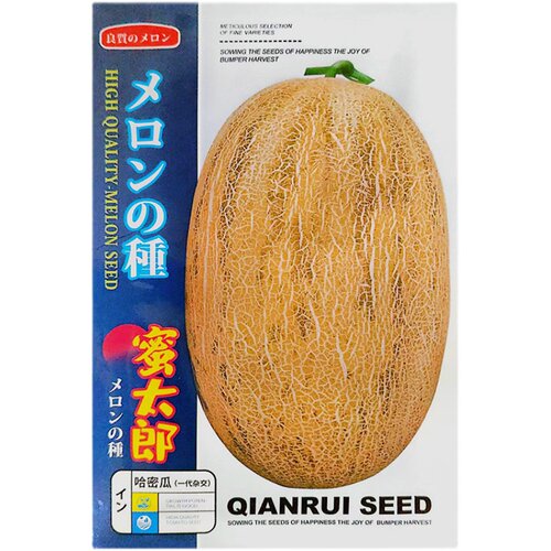 大果黄皮哈密瓜种籽孑甜瓜种籽正品新疆哈蜜瓜种子种籽南方春四季 - 图3