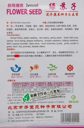 绿苏种子 苏子 苏叶 适合生鱼片 煎黄瓜煮粥 能食用药用 约30粒 - 图0