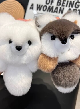 礼物可爱小狐狸真獭兔毛ins
