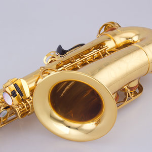 泰山中音萨克斯乐器TSAS-875一体拉伸专业成人演奏儿童初学降e调