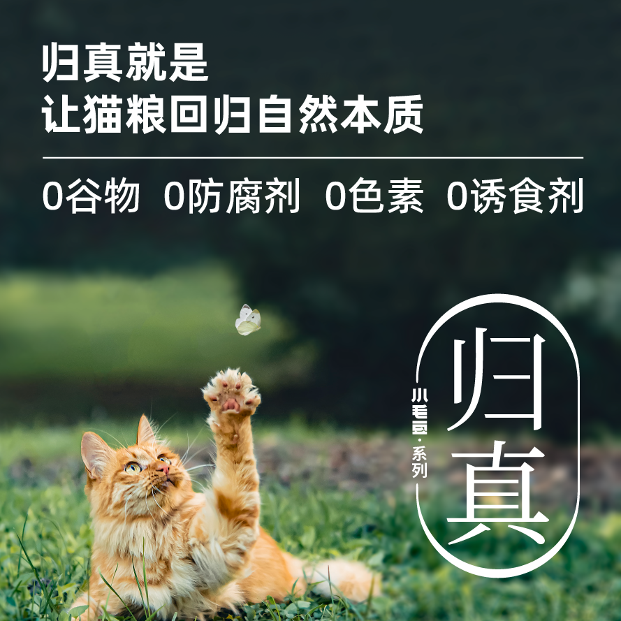 小毛豆猫粮全价酶解鲜肉猫粮1.5kg归真系列鸡肉配方成幼猫全阶段 - 图3