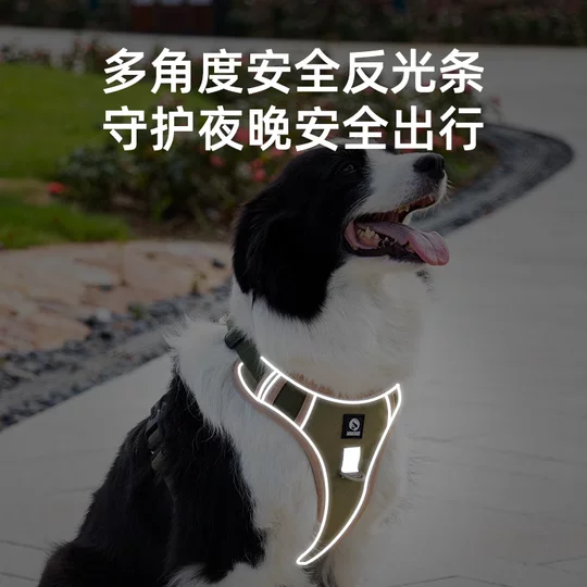 Dog leash protects dogs from damage and does not stick to hair